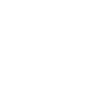 logo web454 white